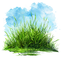 Punta Gorda Charlotte County Organic Lawn Care Soil Restoration Babcock Ranch