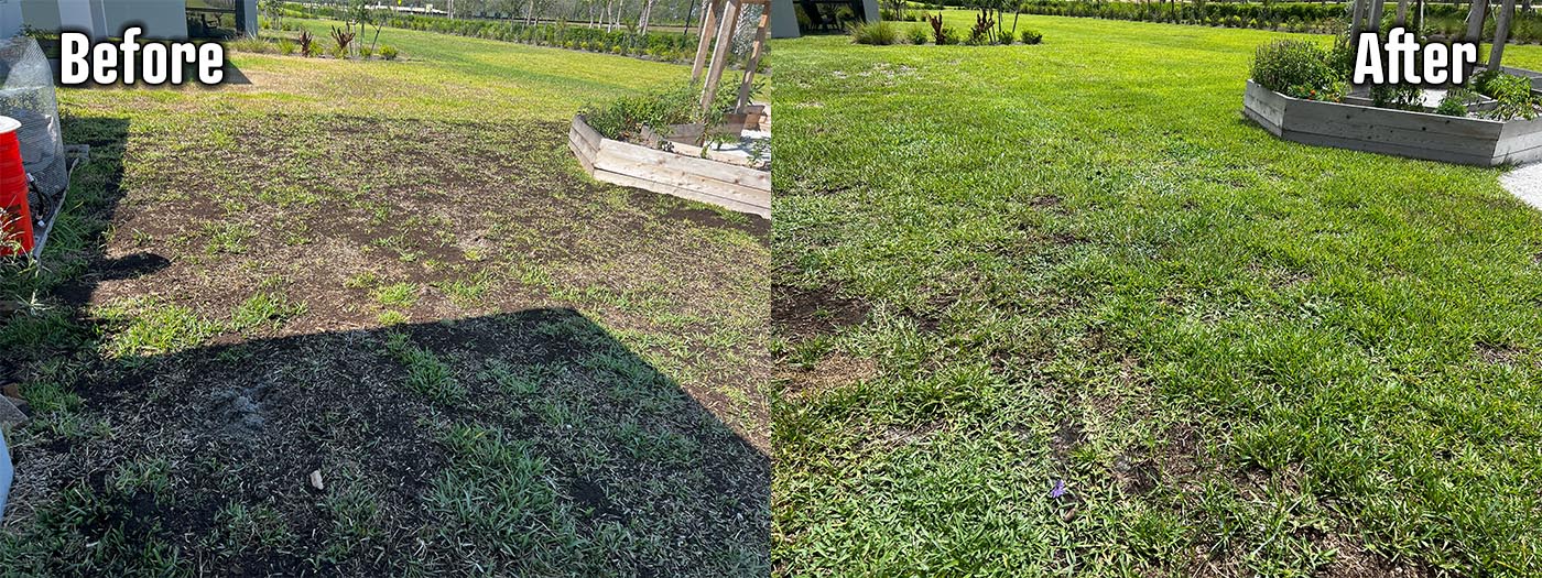 Organic Lawncare Landscaping Company Soil Regeneration Punta Gorda Cape Coral Charlotte County