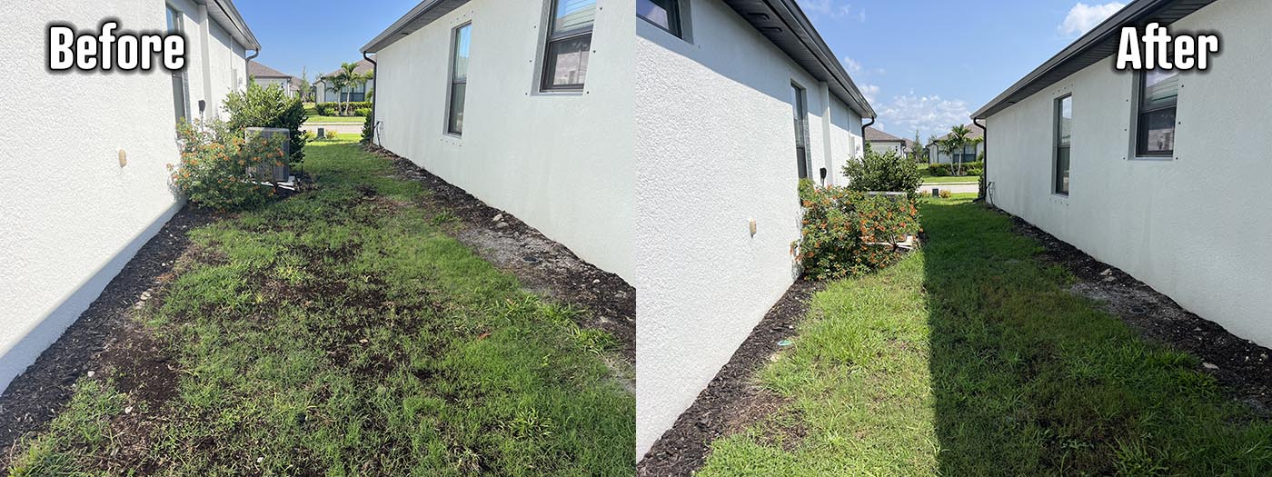 Organic Lawncare Landscaping Company Soil Regeneration Punta Gorda Cape Coral Charlotte County