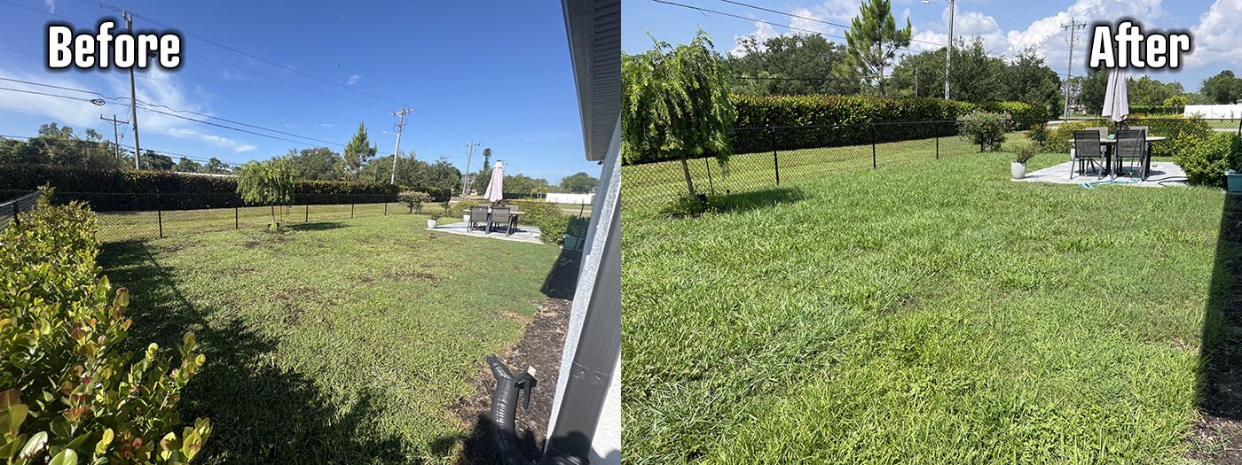 Organic Lawncare Landscaping Company Soil Regeneration Punta Gorda Cape Coral Charlotte County