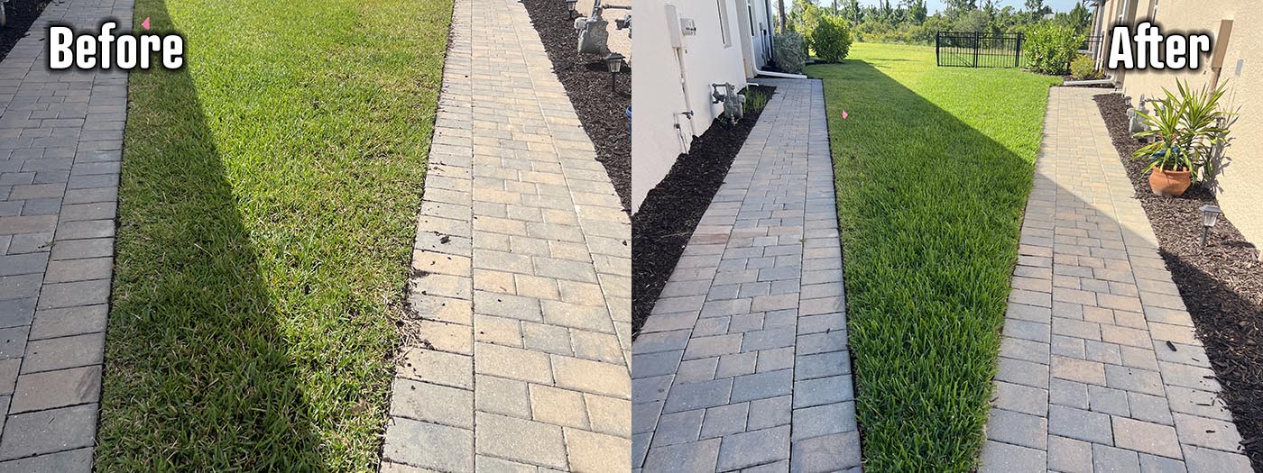 Organic Lawncare Landscaping Company Soil Regeneration Punta Gorda Cape Coral Charlotte County