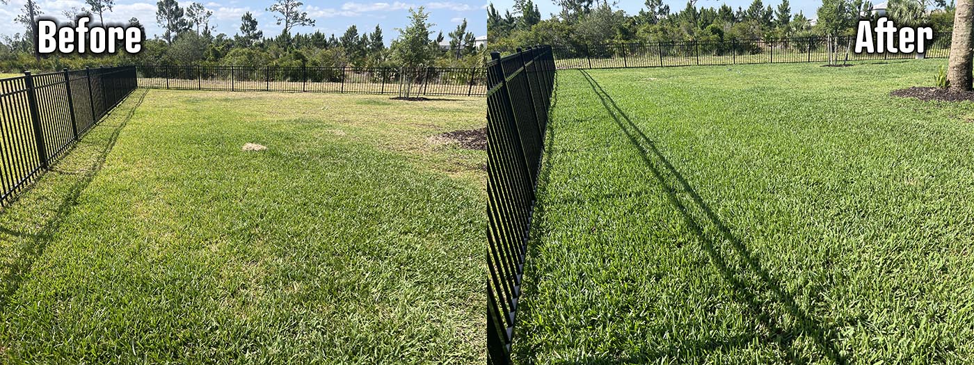 Organic Lawncare Landscaping Company Soil Regeneration Punta Gorda Cape Coral Charlotte County