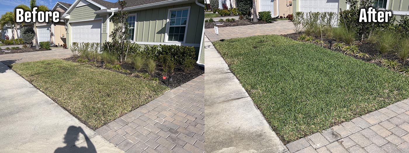Organic Lawncare Landscaping Company Soil Regeneration Punta Gorda Cape Coral Charlotte County