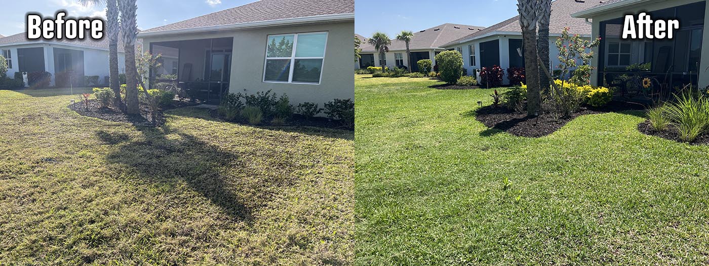 Organic Lawncare Landscaping Company Soil Regeneration Punta Gorda Cape Coral Charlotte County