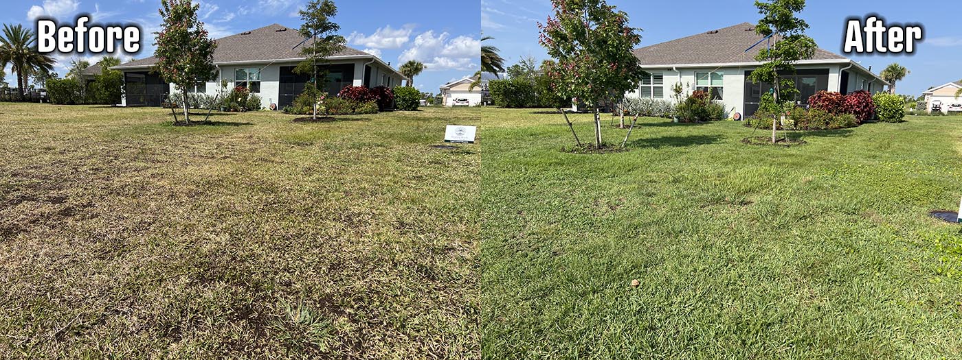 Organic Lawncare Landscaping Company Soil Regeneration Punta Gorda Cape Coral Charlotte County