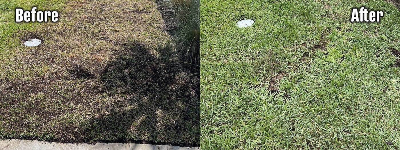 Organic Lawncare Landscaping Company Soil Regeneration Punta Gorda Cape Coral Charlotte County