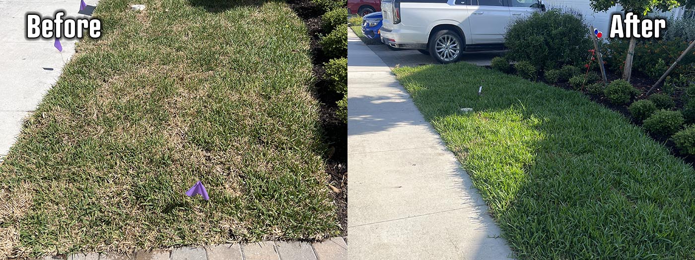 Organic Lawncare Landscaping Company Soil Regeneration Punta Gorda Cape Coral Charlotte County
