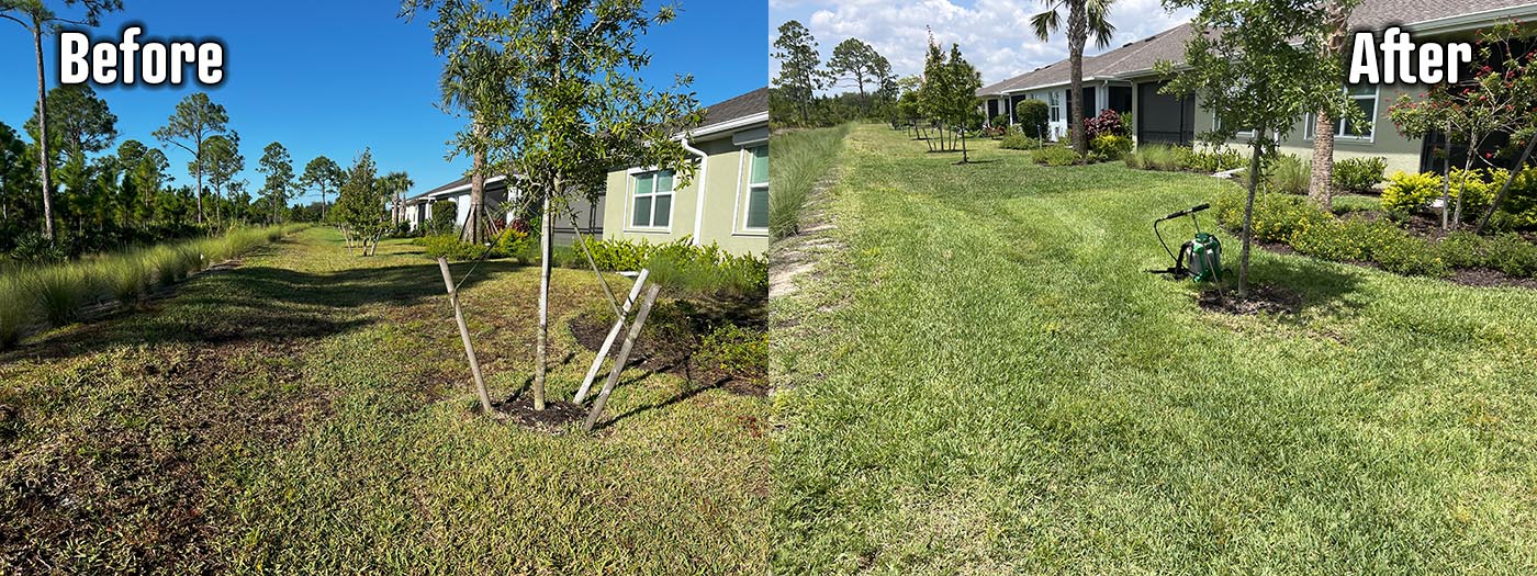 Organic Lawncare Landscaping Company Soil Regeneration Punta Gorda Cape Coral Charlotte County
