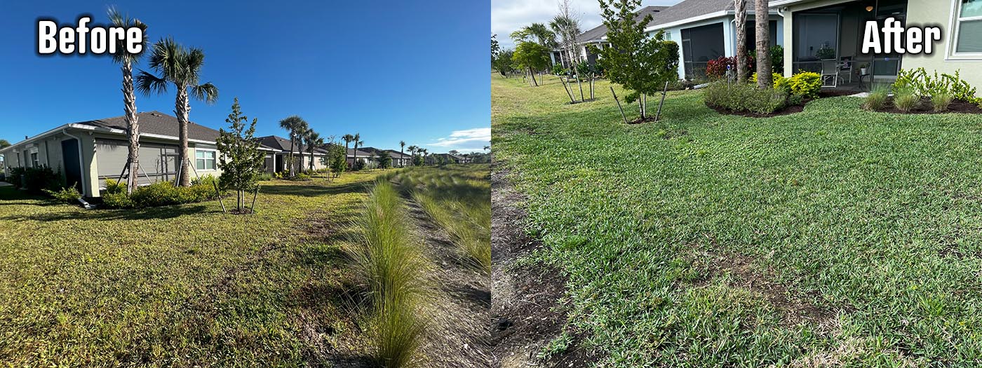 Organic Lawncare Landscaping Company Soil Regeneration Punta Gorda Cape Coral Charlotte County