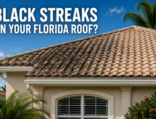 What Causes Black Streaks on My Roof—and Can They Be Safely Removed?